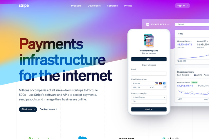 Stripe website preview